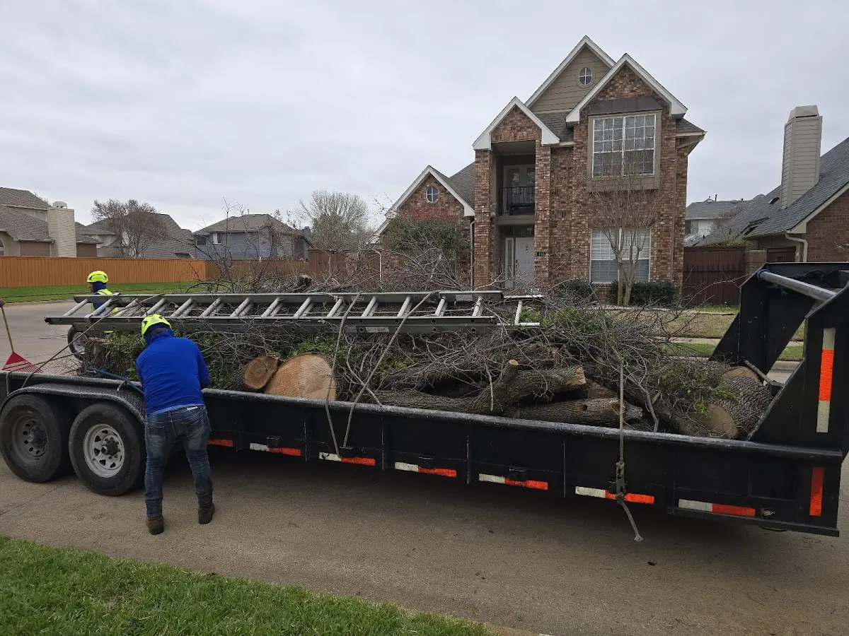 Expert Tree Pest Control with proper safety equipment in Prairie Lea